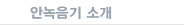 안녹음기 소개